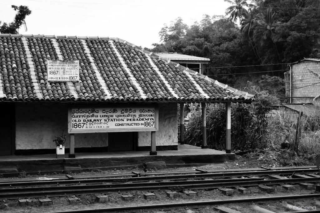 Summit View Bed and Breakfast Kandy Exteriör bild