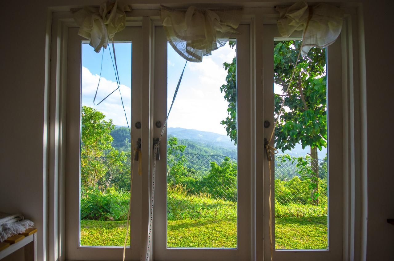 Summit View Bed and Breakfast Kandy Exteriör bild