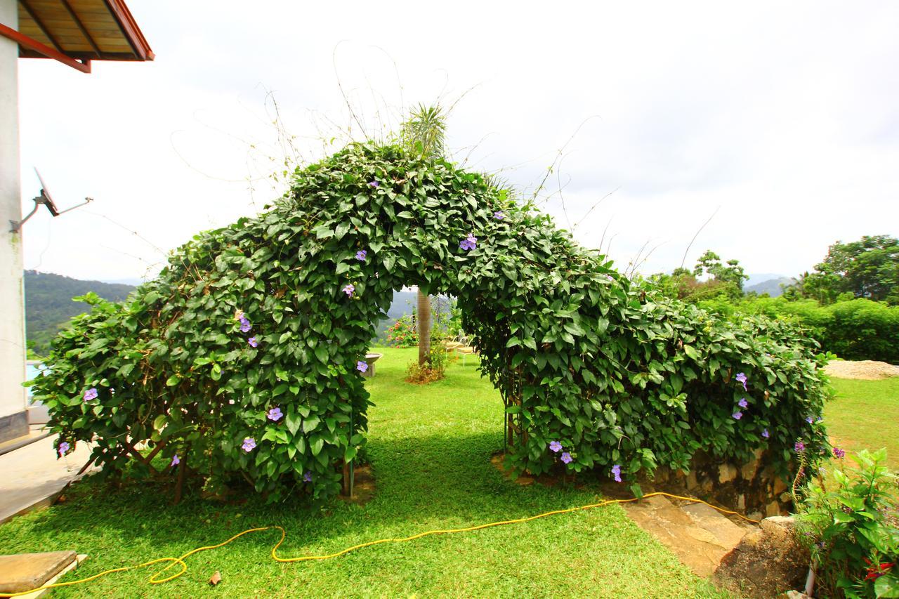 Summit View Bed and Breakfast Kandy Exteriör bild