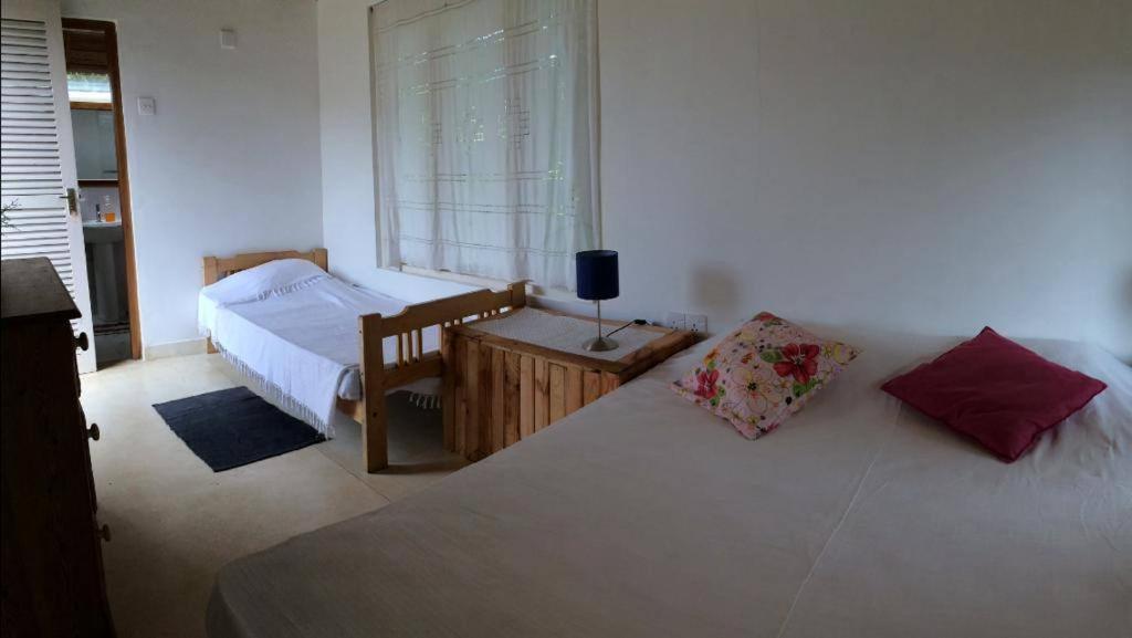 Summit View Bed and Breakfast Kandy Exteriör bild